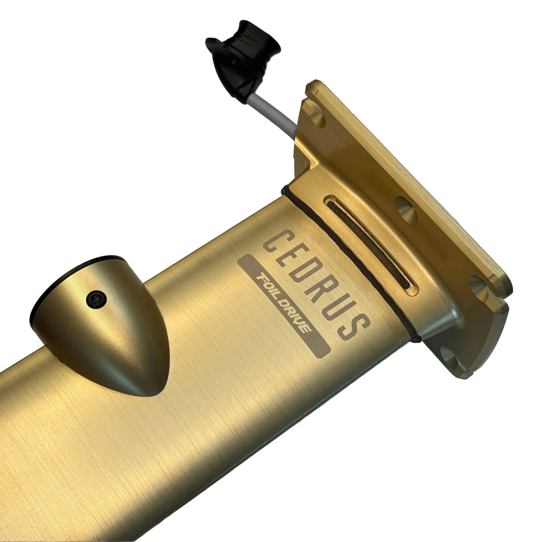 Cedrus x Foil Drive Integrated Mast