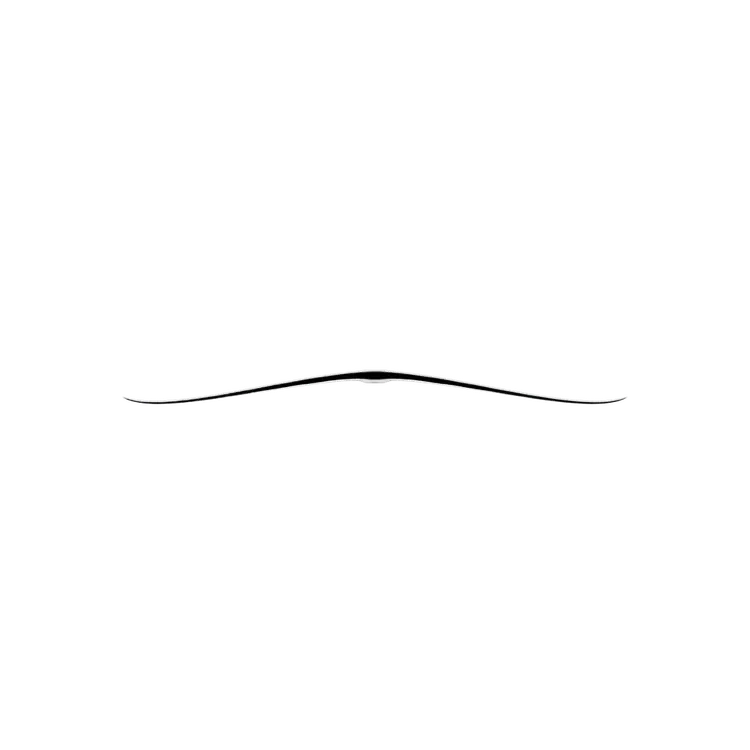 AFS Silk V2 Front Wing